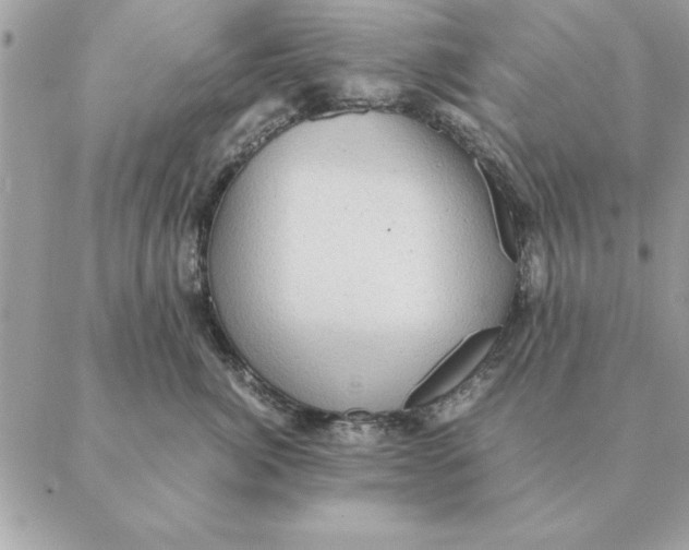 X0000088600764200706151801