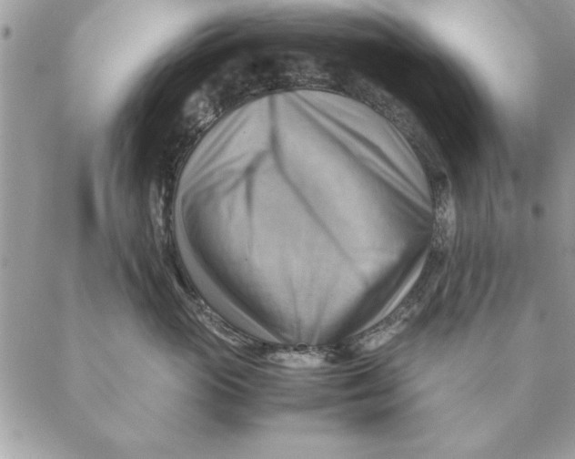 X0000088600765200706151801