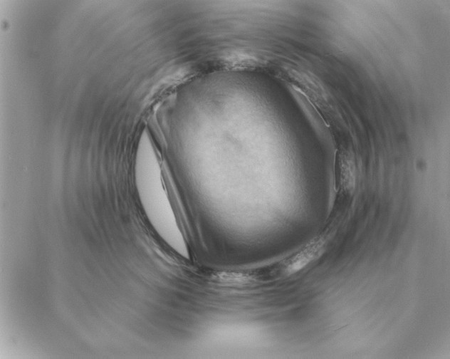 X0000088600766200706151801