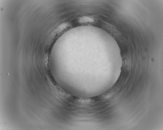 X0000088600767200706151801