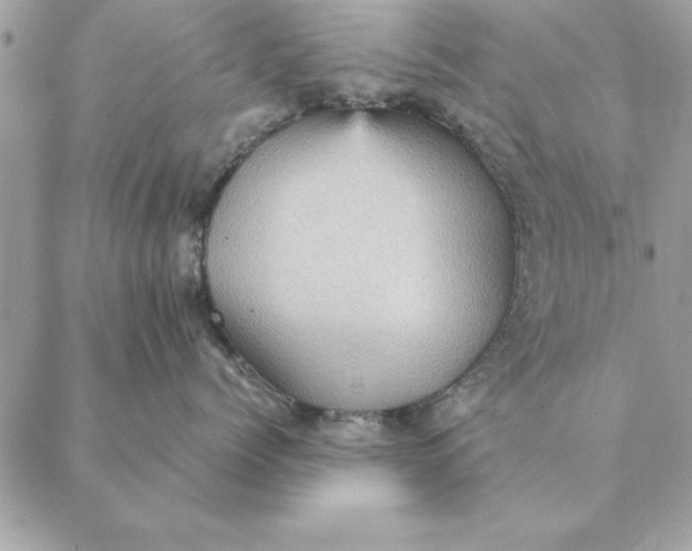 X0000088600768200706151801