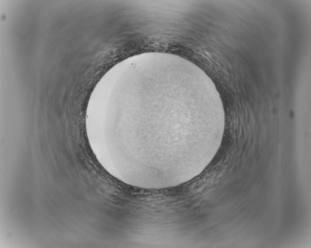 X0000088600769200706151800