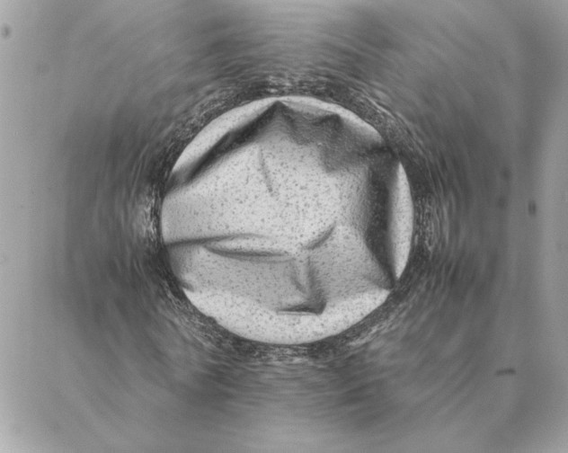 X0000088600770200706151800