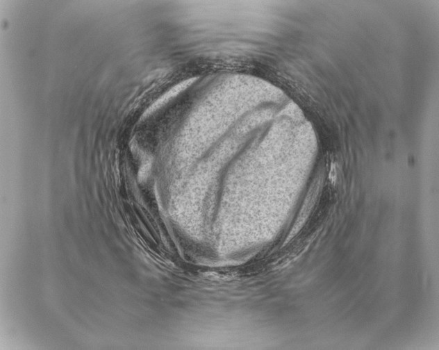 X0000088600771200706151800