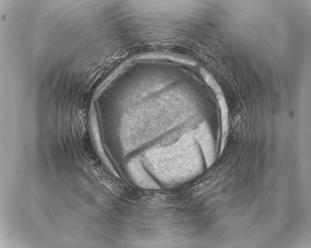 X0000088600772200706151800