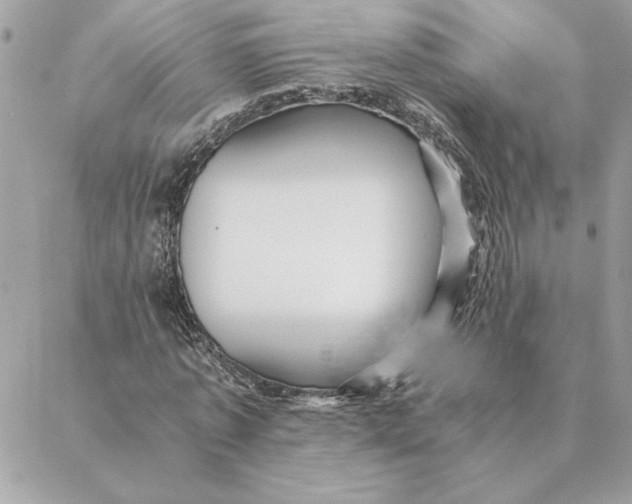 X0000088600773200706151800