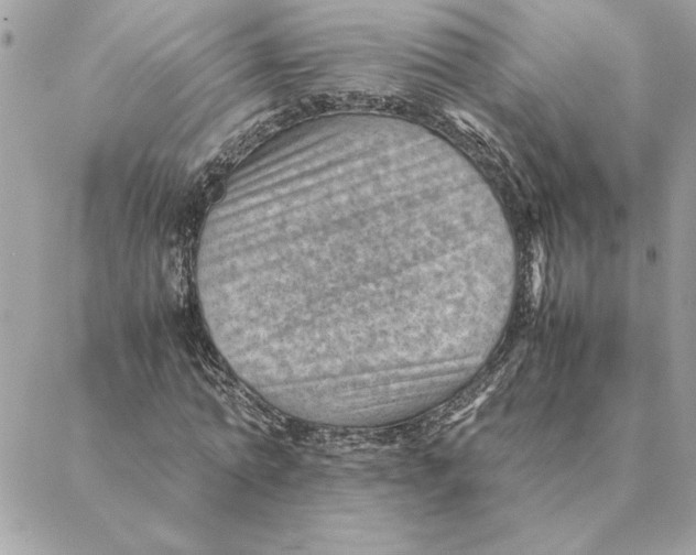 X0000088600774200706151800