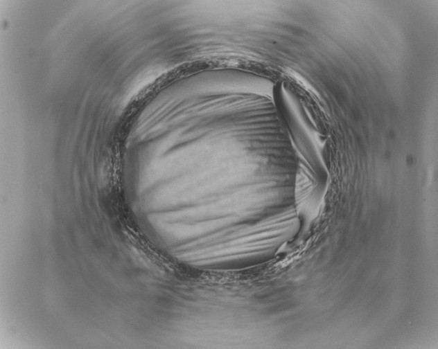 X0000088600775200706151800