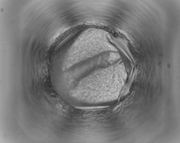 X0000088600776200706151800