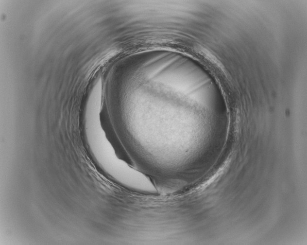 X0000088600777200706151800