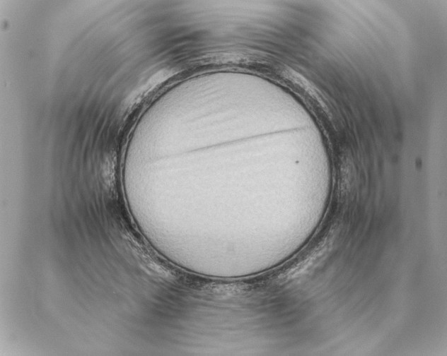 X0000088600778200706151800