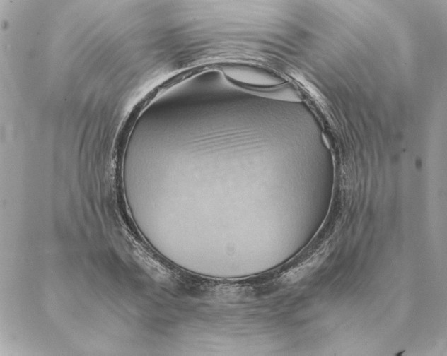 X0000088600779200706151800