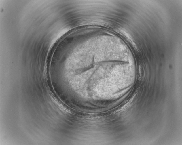 X0000088600780200706151800