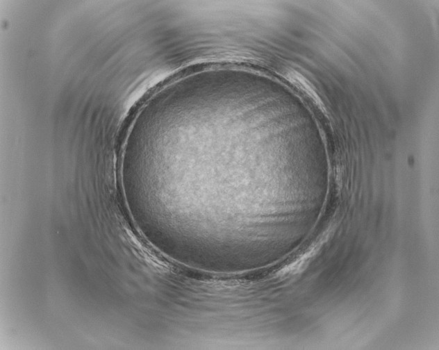 X0000088600781200706151800