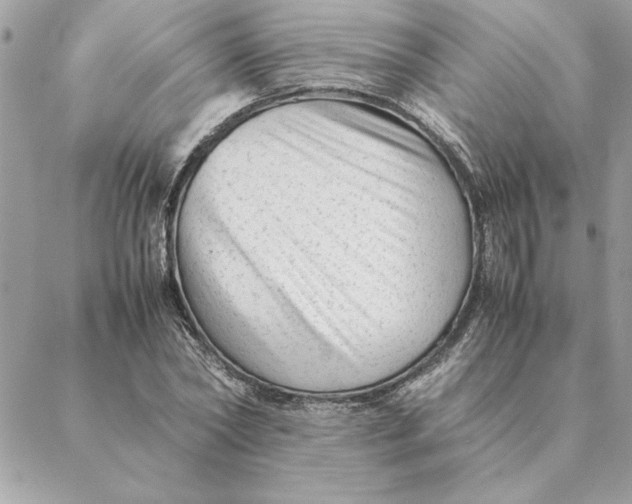 X0000088600782200706151800