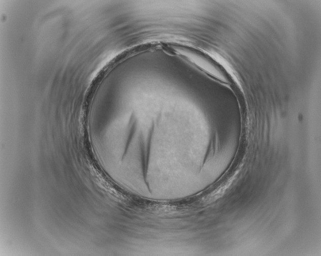 X0000088600783200706151800