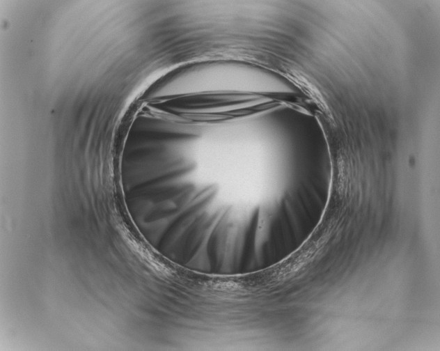 X0000088600784200706151800