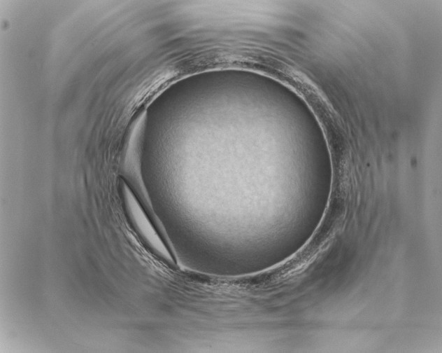 X0000088600785200706151800