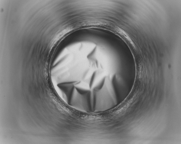 X0000088600786200706151800