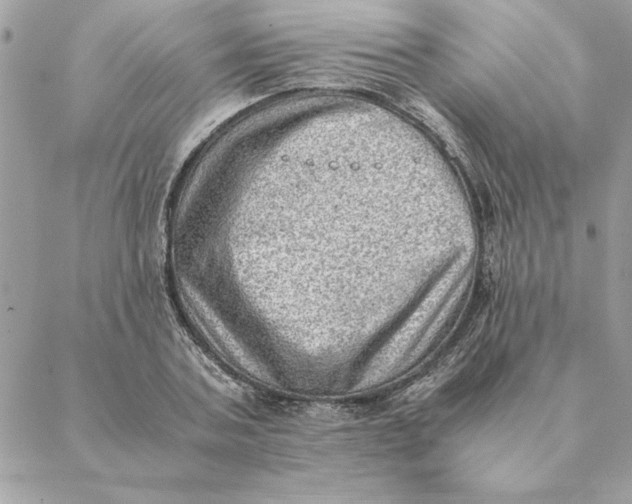 X0000088600787200706151800