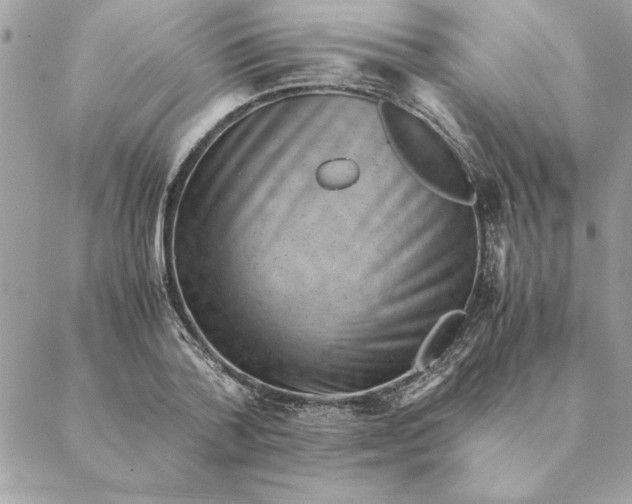 X0000088600788200706151800