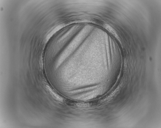 X0000088600789200706151800