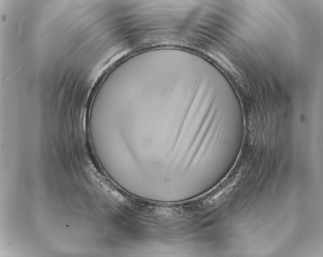 X0000088600790200706151800