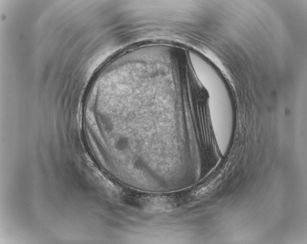 X0000088600791200706151800