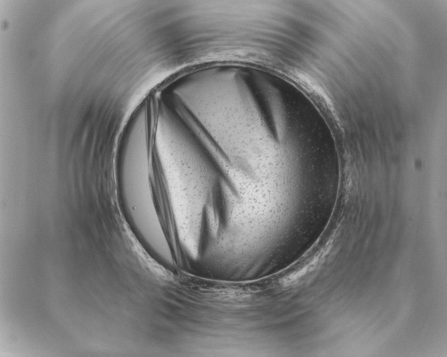 X0000088600792200706151800