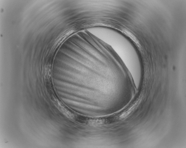 X0000088600793200706151800