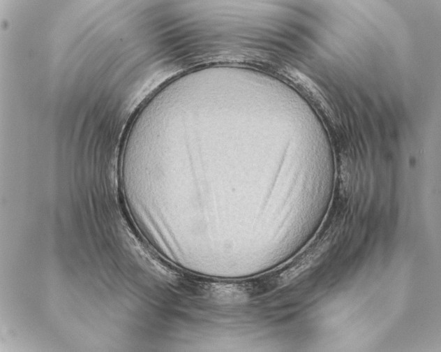 X0000088600794200706151800