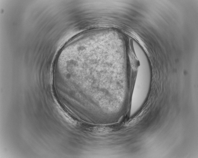 X0000088600795200706151800