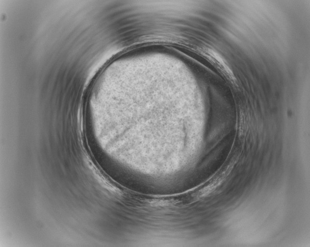 X0000088600796200706151800