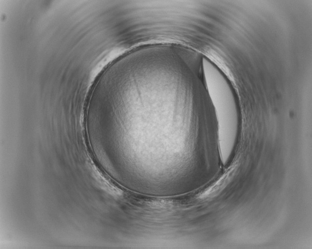 X0000088600797200706151800