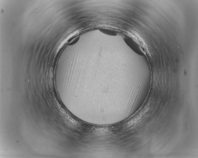 X0000088600798200706151800