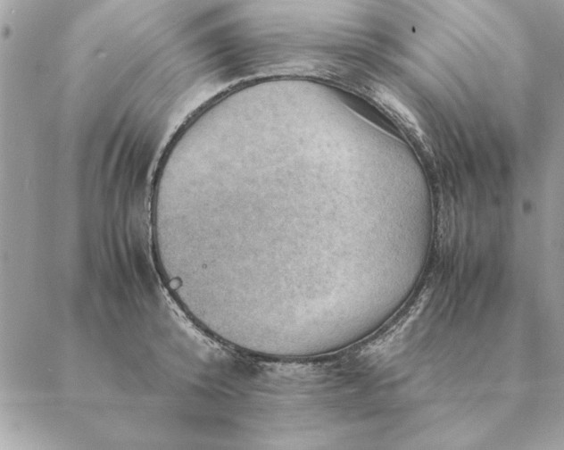 X0000088600800200706151800