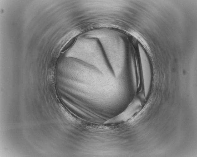 X0000088600801200706151800