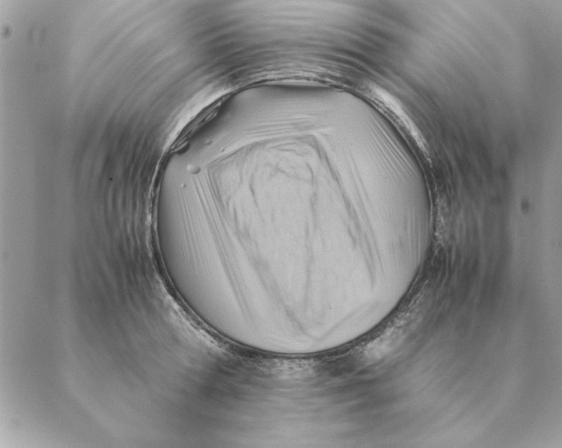 X0000088600802200706151800