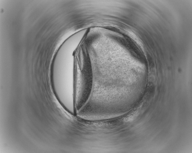 X0000088600803200706151800