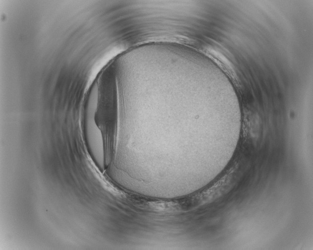 X0000088600804200706151800