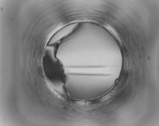 X0000088600805200706151800