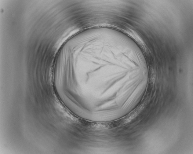 X0000088600806200706151800