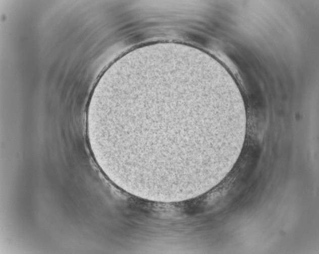 X0000088600807200706151800