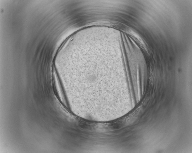 X0000088600808200706151800