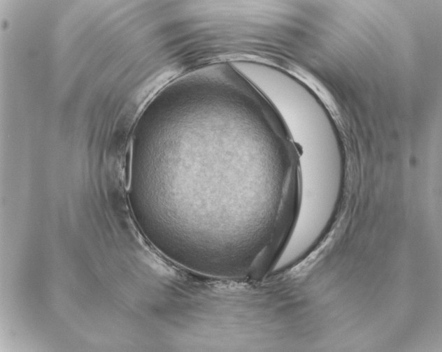 X0000088600809200706151800