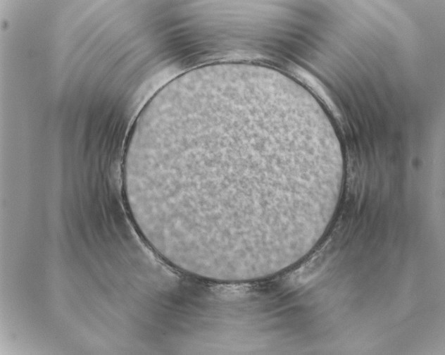 X0000088600810200706151800