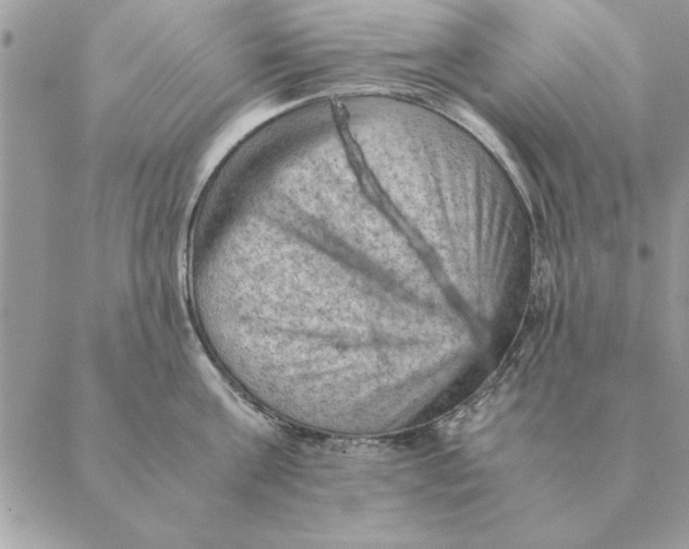 X0000088600811200706151800