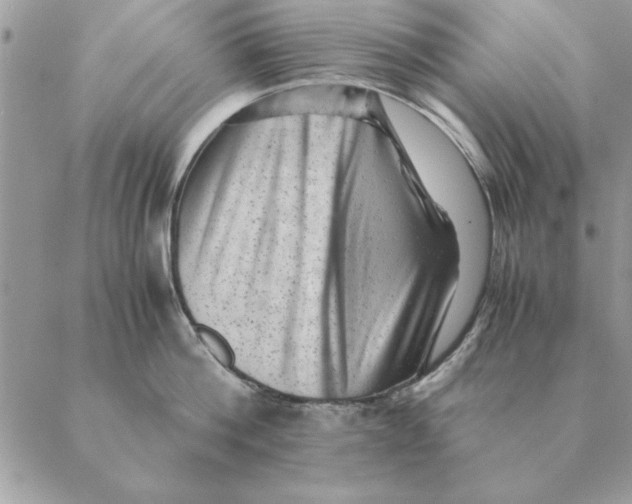 X0000088600812200706151800