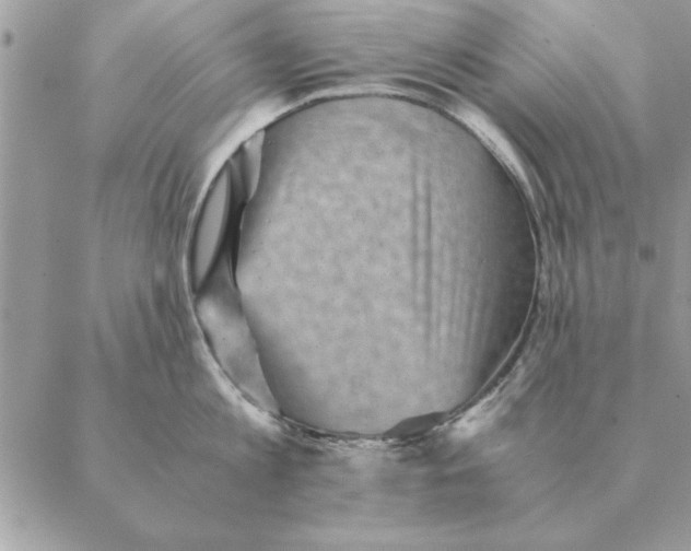 X0000088600813200706151800