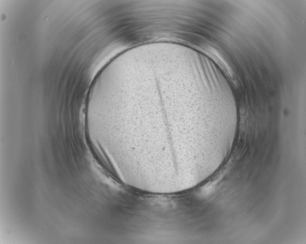 X0000088600814200706151800